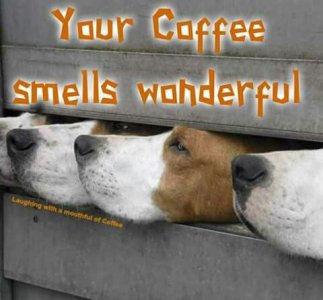 coffee5.jpg
