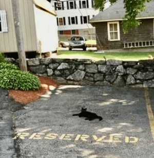 IMG_0885.jpeg