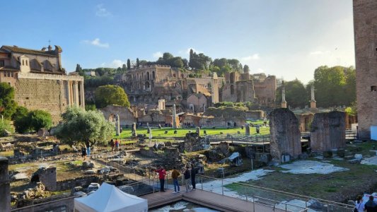 roman forum 2.jpeg roman forum 2.jpeg