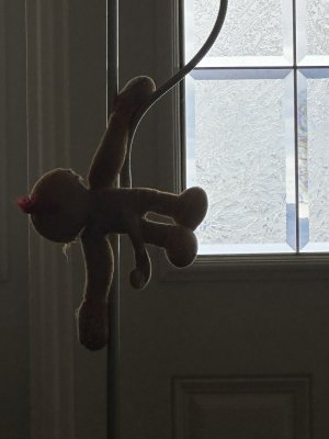 IMG_3010.jpeg