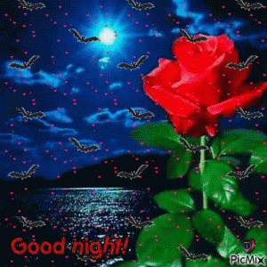 IMG_5283.gif