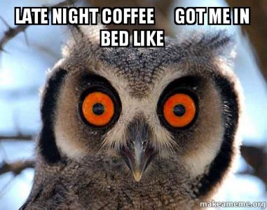 night14.jpg