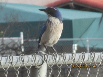IMG_8097.JPG