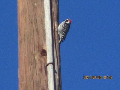 IMG_7594.JPG