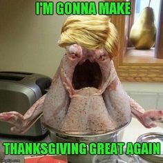 4ce21476a65943cdf21b0bd4e9106ac8--turkey-meme-thanksgiving-funny.jpg
