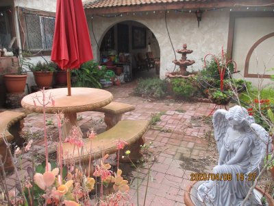 IMG_1379.JPG IMG_1379.JPG