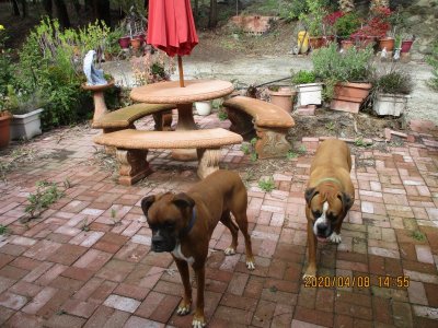 IMG_1296.JPG IMG_1296.JPG