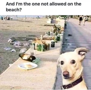 IMG_2047.jpeg