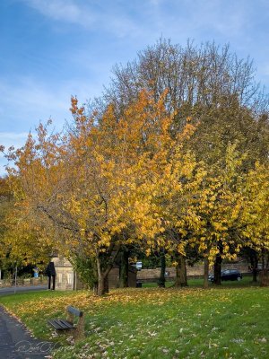 Autumn in Lancaster 2 081123-2.jpg