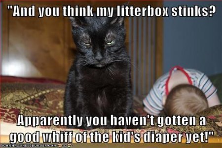 litter box2.jpg