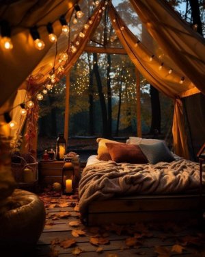 FB_IMG_1699543250747.jpg FB_IMG_1699543250747.jpg