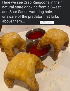 400112142_307371092089615_6971845807642194446_n.jpg