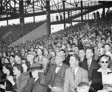 crowd1.jpg