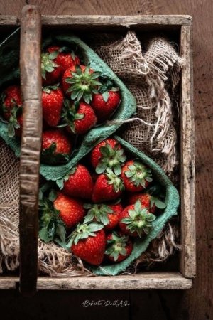 tumblr_665c8bd8fec10095a358abd80ff74a61_21913cef_500.jpg