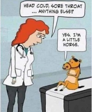Little horse.jpg