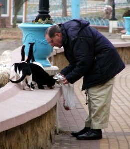 stray08.jpg