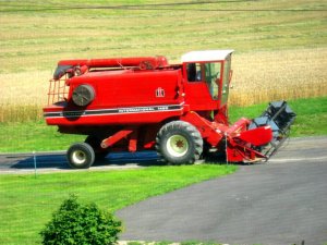 IMG_2233.jpg