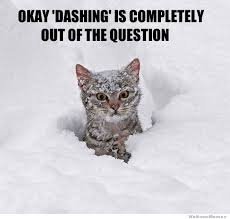 SNOW3.jpg
