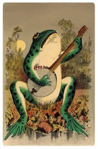 frog.jpg