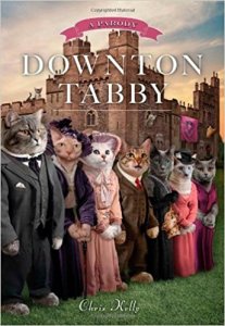 downton tabby.jpg