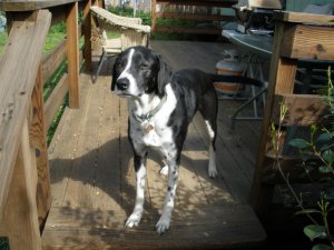 April 2011 first bar-b-q 016.jpg