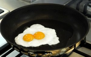 egg.jpg