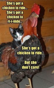 C5F26711-5E9B-4BA0-8AFE-45C221253D9A.jpeg