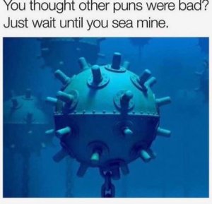 24301046_1791956670823555_1426252129591453557_n.jpg