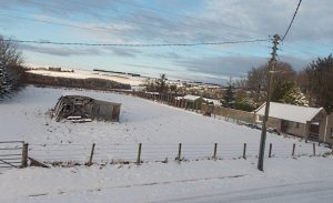 snow2017.JPG
