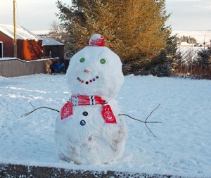 snowman.JPG