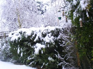 DSCF4995.jpg
