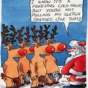 2d034014f06b23bace24bdc7b450a156--christmas-humor-christmas-fun.jpg