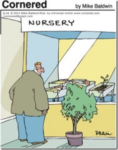 nursery.jpg