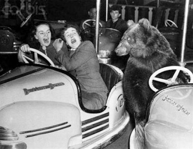 Dodgems @.jpg