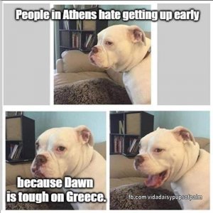 IMG_5292.jpeg