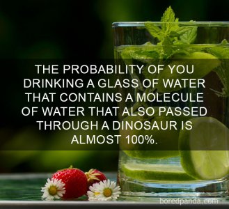 unheard-interesting-facts-10.jpg