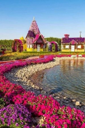 FB_IMG_1699617841570.jpg FB_IMG_1699617841570.jpg