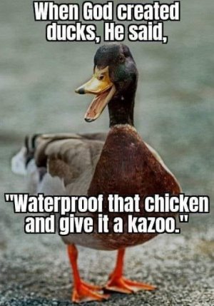 IMG_5323.jpeg