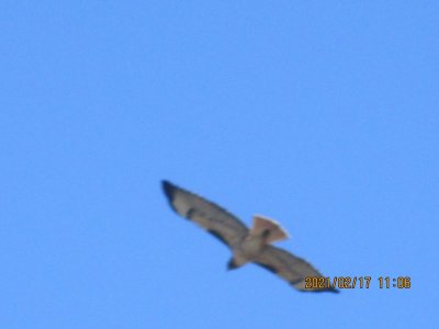 IMG_6794.JPG