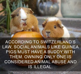 interesting-life-facts-99-58355235f2db9__700.jpg