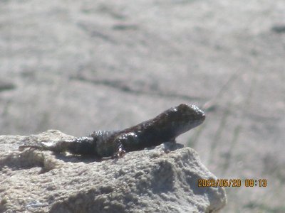 IMG_1987.JPG