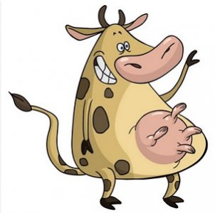 cow.jpg