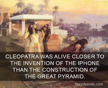 interesting-life-facts-12-5825c22a87aa9__700.jpg