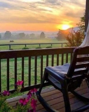 FB_IMG_1699789420570.jpg FB_IMG_1699789420570.jpg