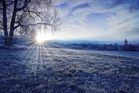 frosty0.jpg