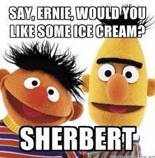 pun-bert.jpg
