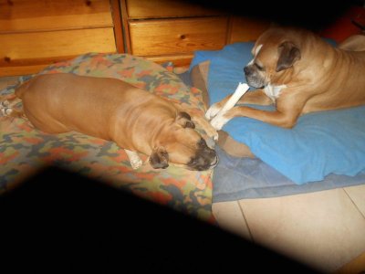 DSCN0652.JPG