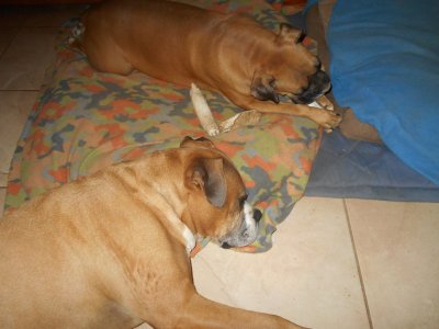 DSCN0654.JPG