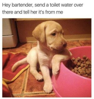 FB_IMG_1699904357763.jpg