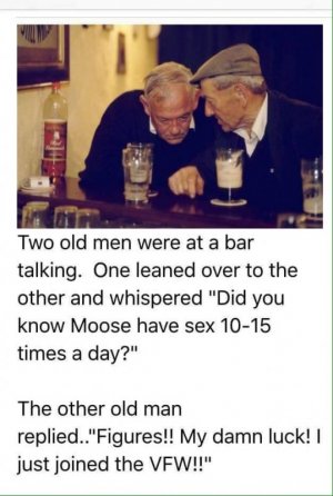 IMG_5361.jpeg